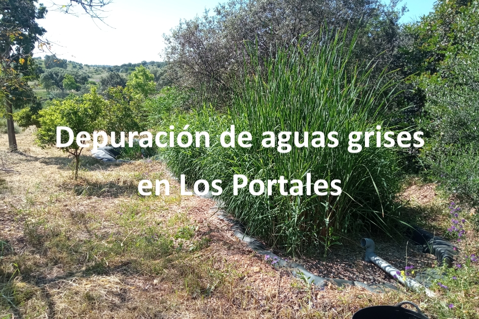 Articulo%20aguas%20grises