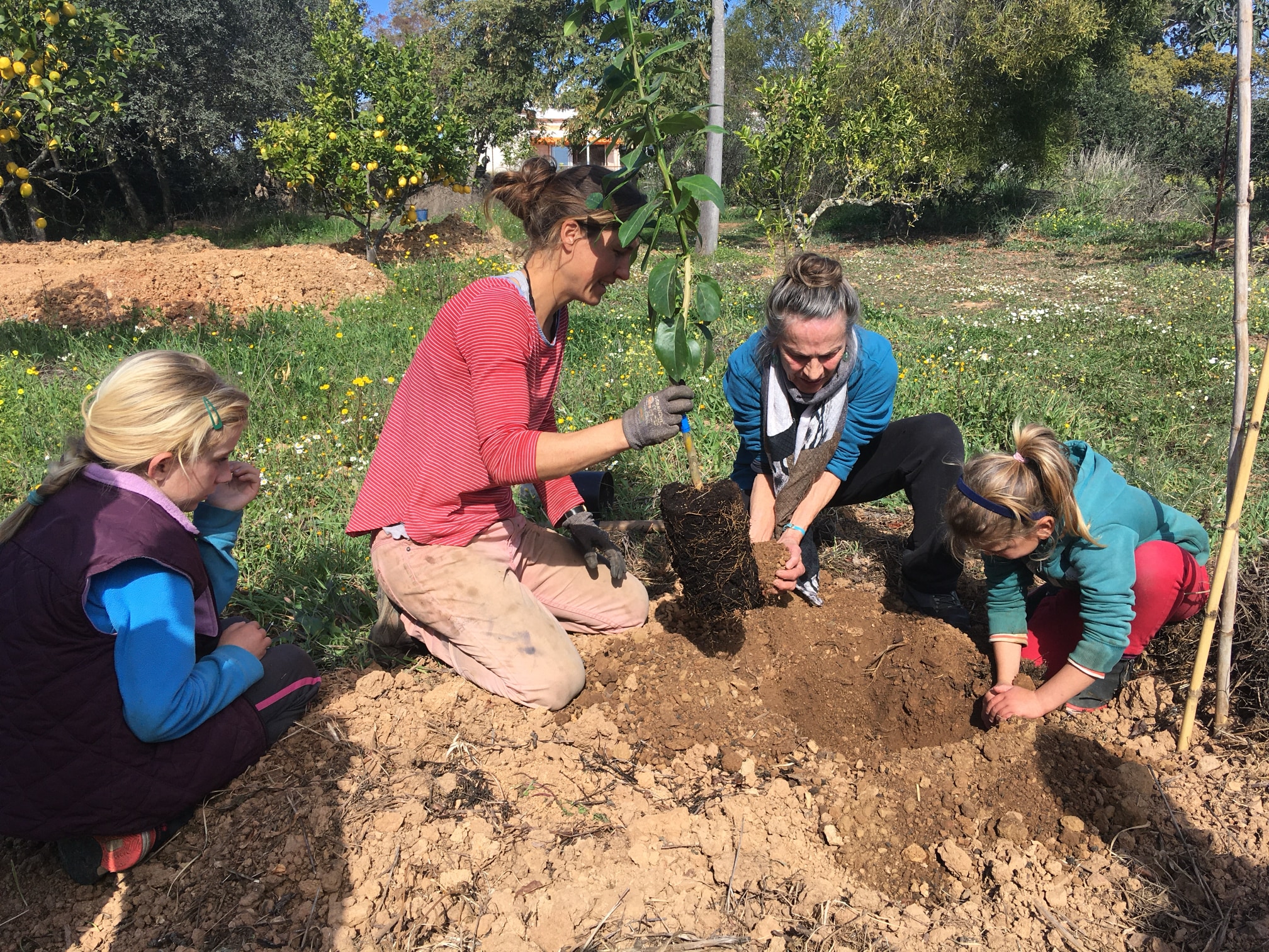 placeholder image-sq