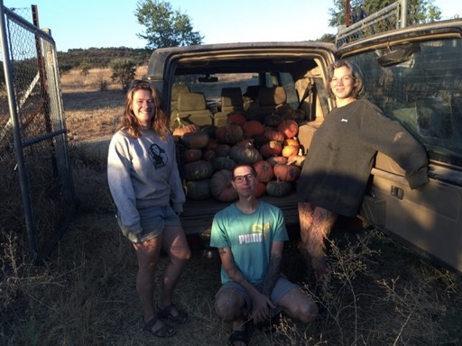 placeholder image-sq