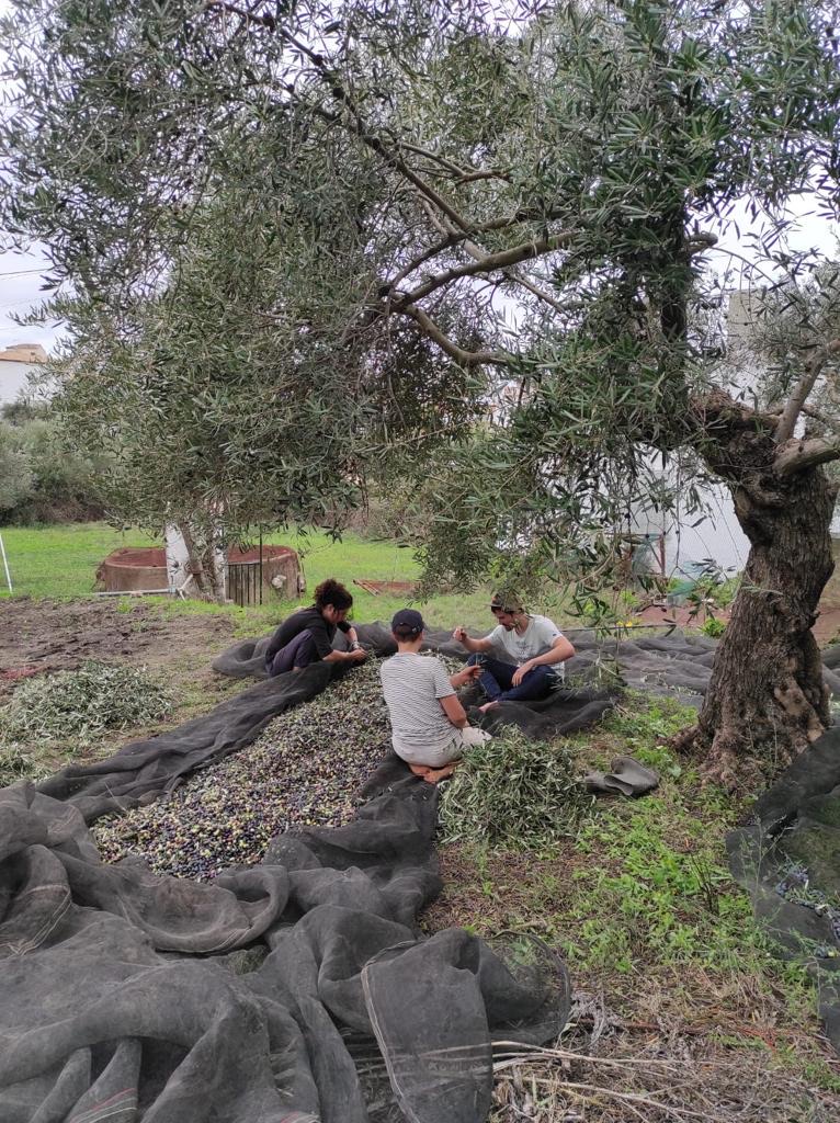 photo_2023 12 05%2012.56.17%20p. m.