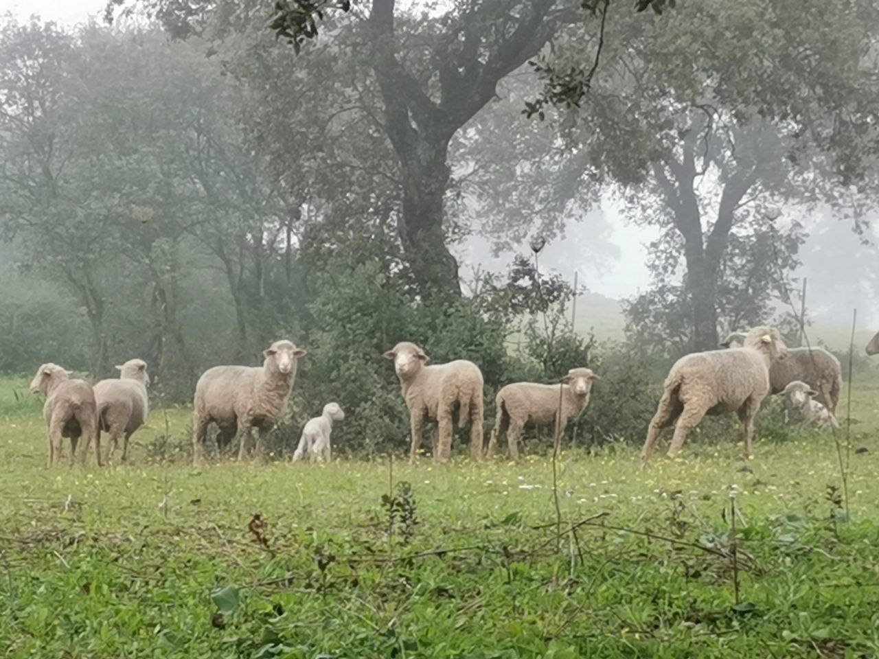 placeholder image-sq