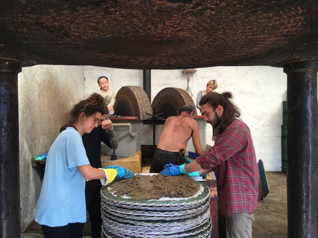 placeholder image-sq