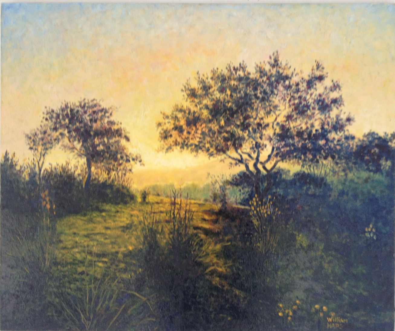 placeholder image-sq